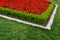 Red flowerbed of white stones on a juicy green grass