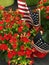 Red Flowers, American Flag