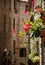 Red flowers in assisi street