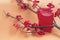 Red flowers branch with red envelopes on soft orange background.