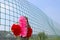 Red flowers in a fench wall