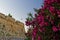 Red flowers and fortress walls with Greek flag