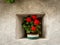 Red flowers in front of a small window of a very old house in Glurns