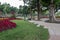 Red flowers on the green lawn. Stone walkways in the city park. Green lawn, bicycles near benches.