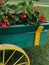 Red flowers in green and yellow wagon