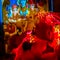 Red Flowers Of Indian Hindu Worship. Shiv Puja Or Worship.