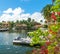 Red flowers in Las Olas Isles under a blue sky