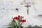 Red flowers outdoors with Jesus Christ on the cross hanging on the wall in Mexico city