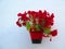 Red flowers in pot on white wall