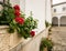 Red flowers in stone flowerpot in front of old courtyard