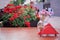 Red flowers, terrace on a sunny day, cafe tables outside.