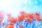 Red flowers tulips on abstract blue background in sunlight. Beautiful romantic artistic image. Selective focus, place for text