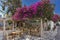 Red flowers and typical restaurant, island of Mykonos, Greece