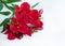 Red flowers on white background. Bouquet of alstroemeria flowers. Peruvian Lily