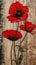 Red flowers and wooden background with dead poppies and deep imp