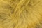 Red fluffy fox wool texture, natural animal wool background, yellow fur texture close-up for designers