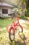 Red folding bicycles in park