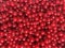 A red food background with currant berries