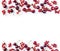 Red food at border of image with copy space for text. Ripe cherries and red currants on a white background. Red berries and fruits
