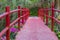Red Footbridge Crossing Spring Flowers Bloom