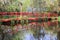 Red Footbridge Over Pond Charleston South Carolina