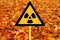 Red Forest, yellow sign warning the nuclear risk in Chernobyl area in Ukraine, message about the danger of exposure to a high dose