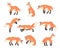 Red Fox Activity Set, Wild Predator Forest Mammal Animal Cartoon Vector Illustration