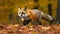 A Red Fox in Motion Capturing the Agility and Beauty. Generative AI