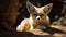 Red fox staring, alertness in animal eye, natural beauty portrait generated by AI