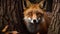 Red fox staring, fur and whisker in focus, beauty in nature generated by AI