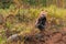 Red Fox (Vulpes vulpes) Fights With Silver Fox