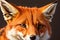 Red Fox - Vulpes vulpes, sitting up at attention, direct eye contact, bokeh in background, generative ai