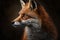 Red Fox - Vulpes vulpes, sitting up at attention. Red fox portrait. Generative AI.