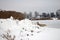 Red foxy dog hunting in the reeds in the frozen lake