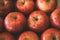 Red fresh apples as background. Close up view of heap of delicious apples as texture and background.