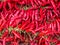 Red Fresh Chillies on the market