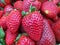 Red and fresh seasonal strawberries