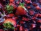 Red fresh strawberries fruit tasty and delicious healthy food vegetarian still life