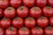 Red fresh tomatoes background. Group of tomatoes