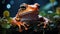 red frog, selective focus photography of frog holding leaf, rain. Generative AI