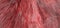 Red fur texture ,close-up useful as background - image