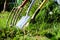 A red gardening fork and two gardening spades in grass