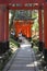 Red gates tunnel in Kyoto