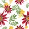 Red gazania flower. Floral botanical flower. Seamless background pattern.