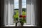 red gerania flowers on top of a windowsill and on the table