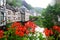 Red geranium flowers and historic tudor style buildings in Monschau