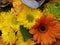 Red Gerbera and camomile bouquet