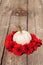 Red gerbera daisies ring a carved white Casper pumpkin