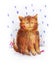 Red ginger cute fluffy kitten. Drawing in colored pencils. Handwork illustration for design