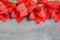 Red gladiolus flower on old wooden table with space for text. Floral background for design.